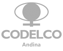 logo codelco andina